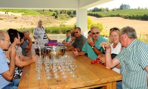 Wynuitstappie na Elgin